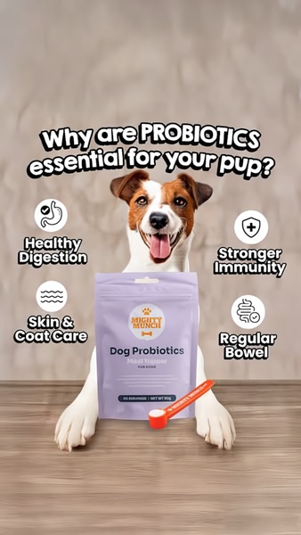 A vertical ad layout featuring a dog with a product bag and scoop, using four icon-led benefit points to explain the essential role of probiotics.